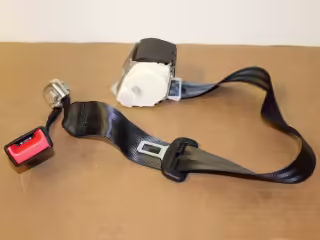 Three-point inertia reel seat belt; and press button buckle