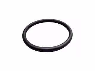 Dichtungsring