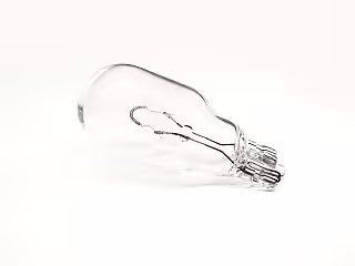 Light Bulb W16W Hella