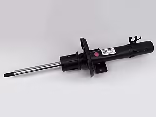 Gasdruckstoßdämpfer; vorne