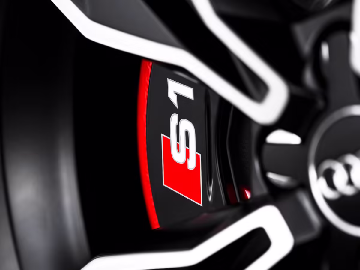 8X0615123D - Korpus zacisku hamulcowego S1 czerwony; przód lewy [14/39]