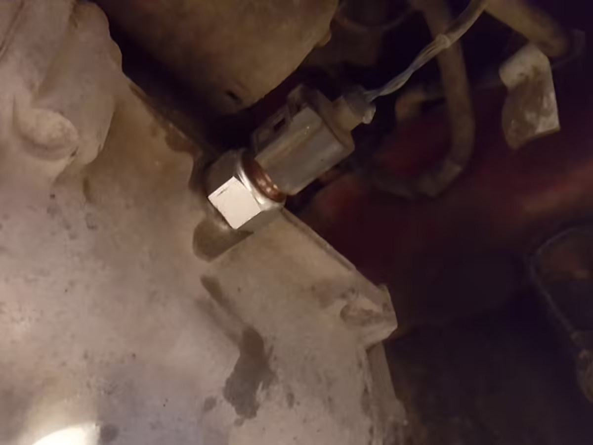 02T945415P - Schalter für Rückfahrlicht [19/20]