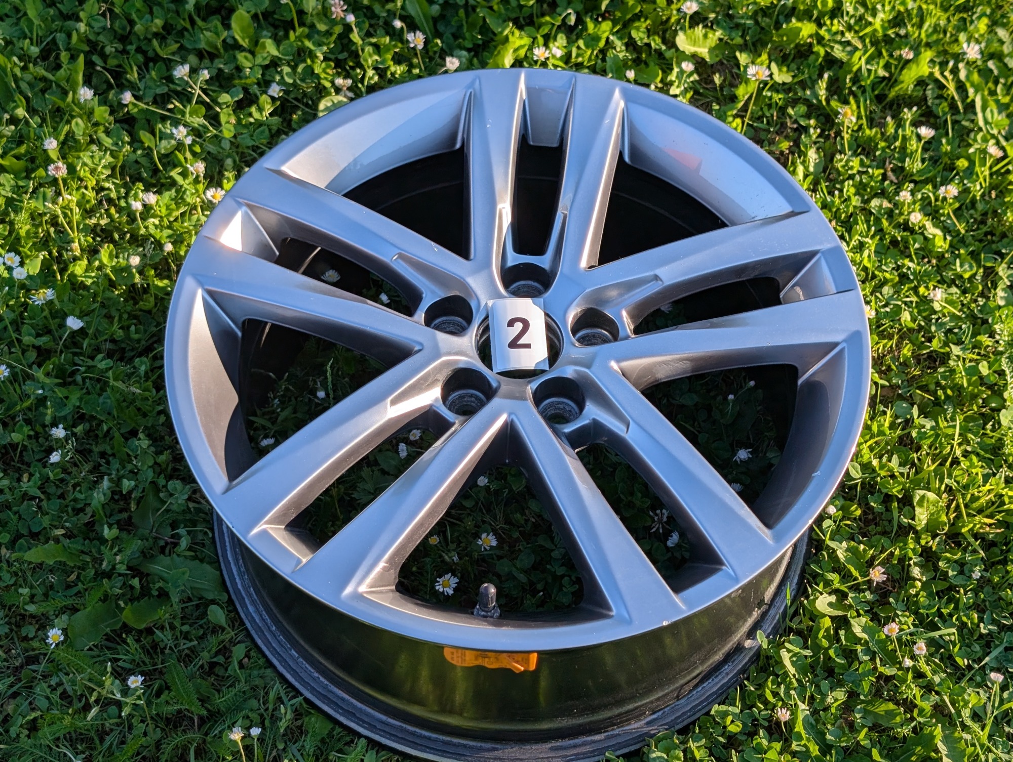Salvador 16" Wheel #2