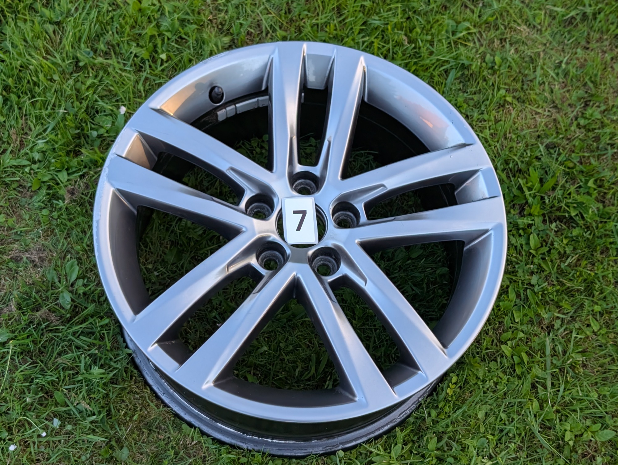 Salvador 16" Wheel #7