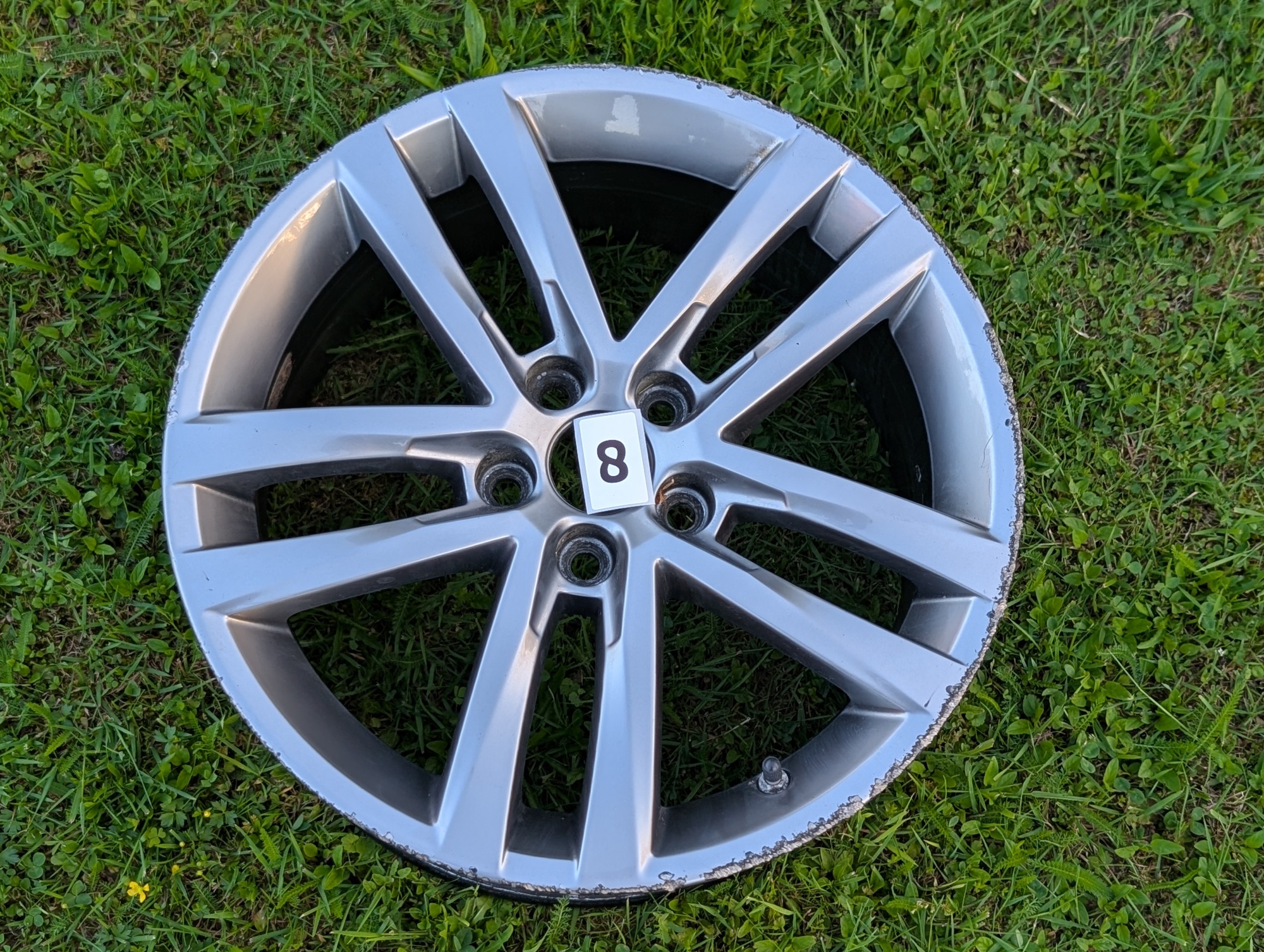 Salvador 16" Wheel #8